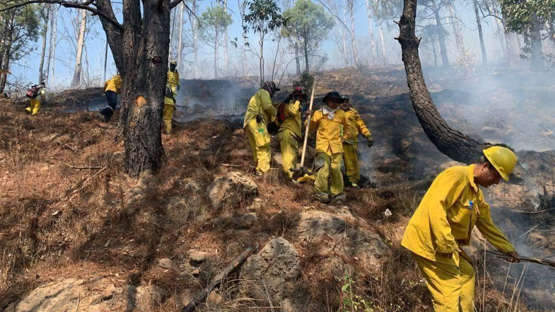 incendio forestal